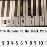 Welcome to the black parade piano notes