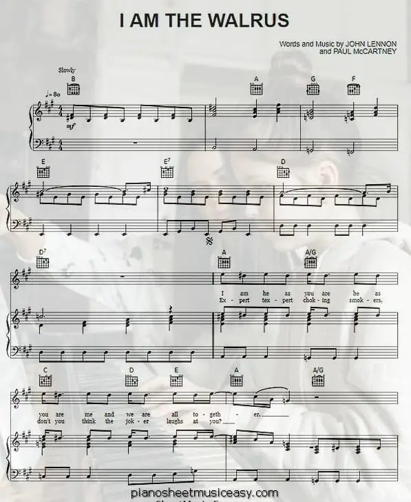 i am the walrus printable free sheet music for piano 
