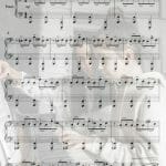 libertango sheet music pdf