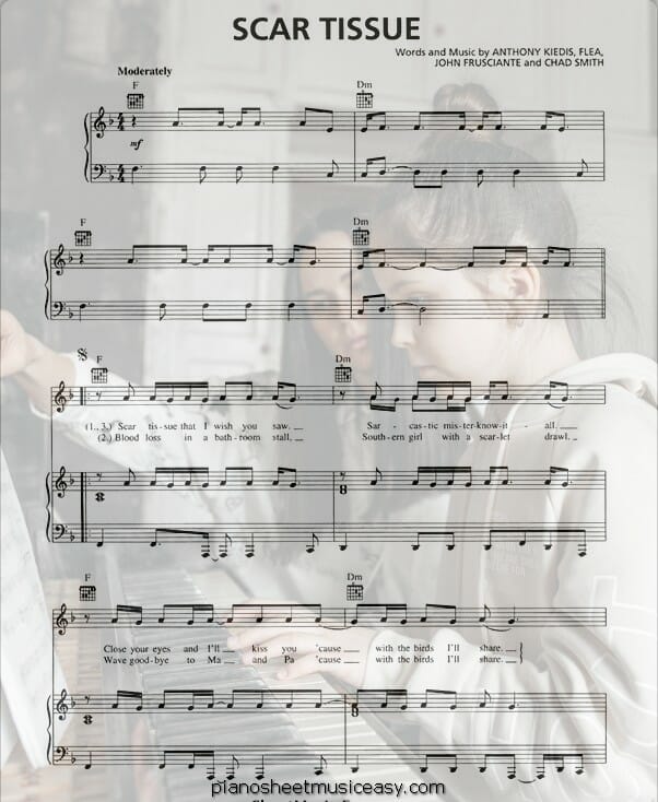 scar tissue printable free sheet music for piano 