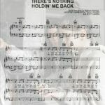 theres nothing holdin me back sheet music pdf
